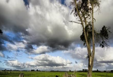 英超:曼彻斯特市队4比1击败西汉姆.