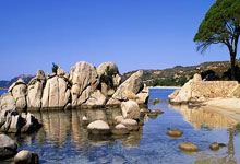 爱游戏:备战世预赛18强赛,中国男足开启新一轮集训环球时报.